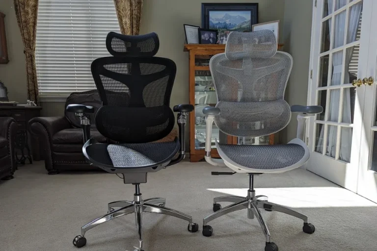 Sihoo Doro C300 Pro Gaming Chair